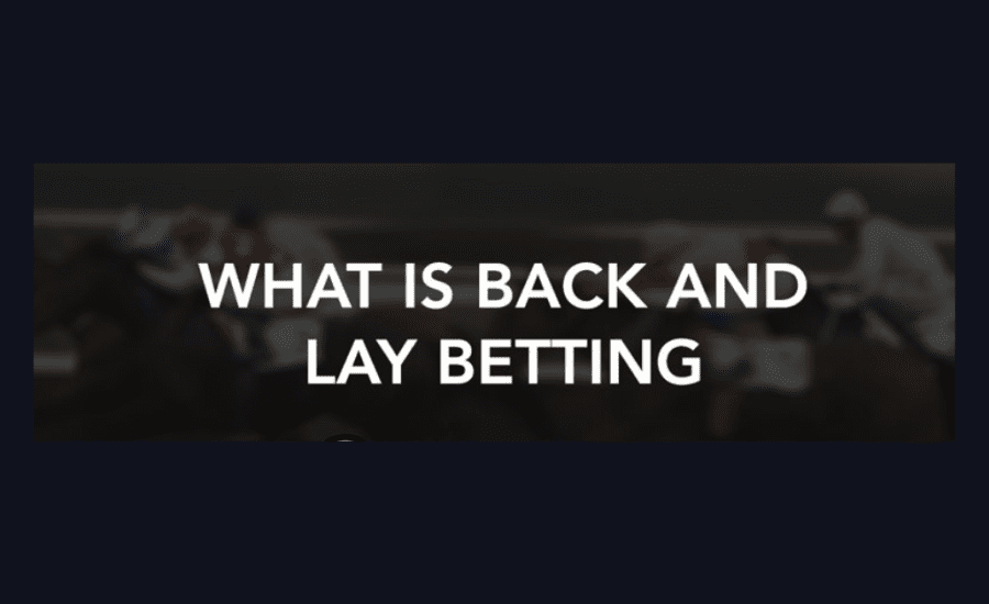 What Is Lay And Back In Betting In Hindi?