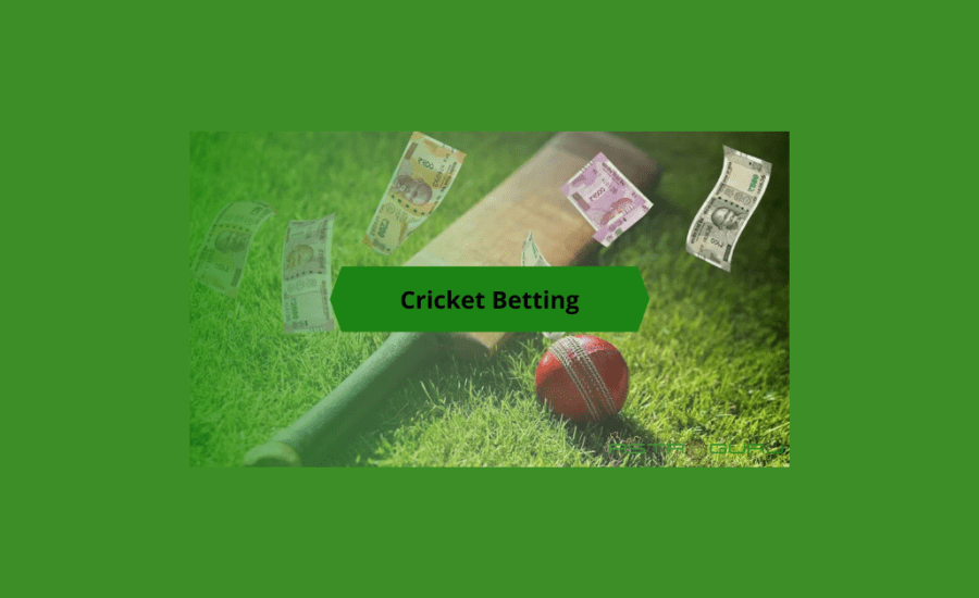 How To Understand Cricket Betting Rates?