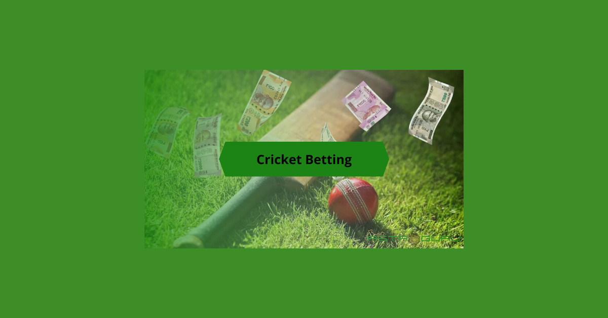 How To Understand Cricket Betting Rates?