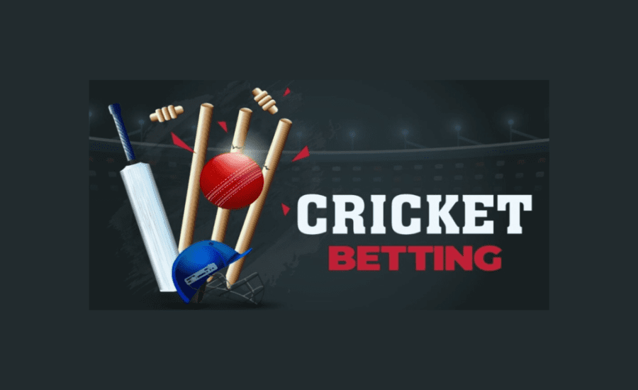 How To Check Cricket Betting Rates?