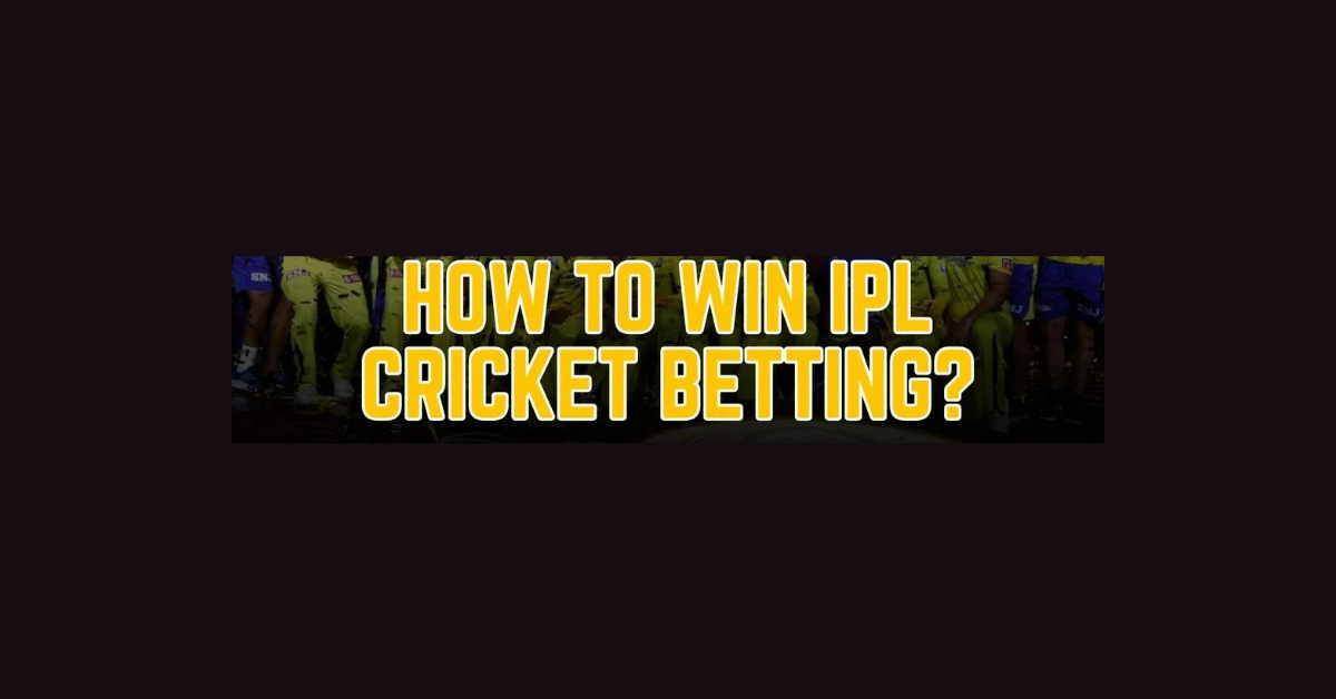 How To Win In Ipl Betting?