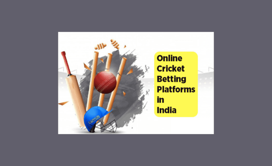 How To Play Online Cricket Betting In India?