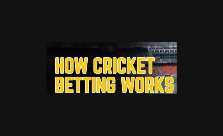 How Cricket Betting Works?