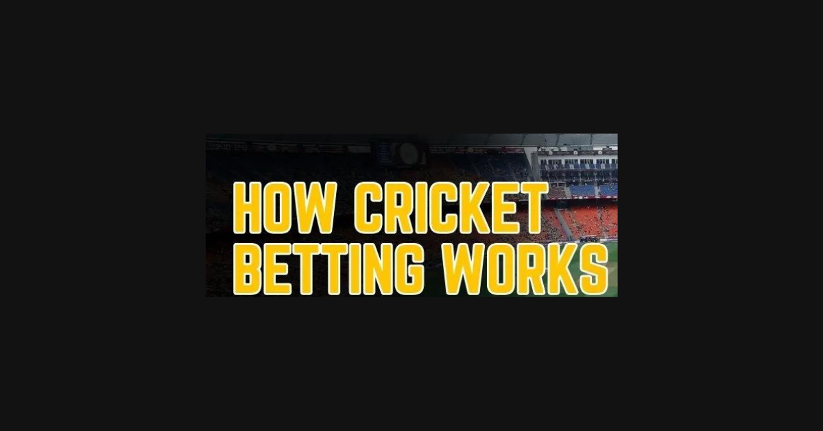 How Cricket Betting Works?