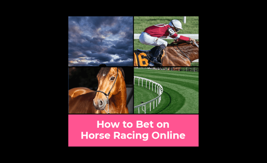 How To Bet On Horses Online?