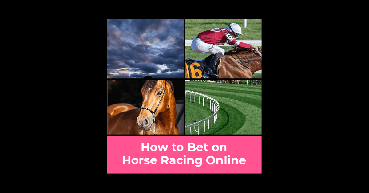 How To Bet On Horses Online?