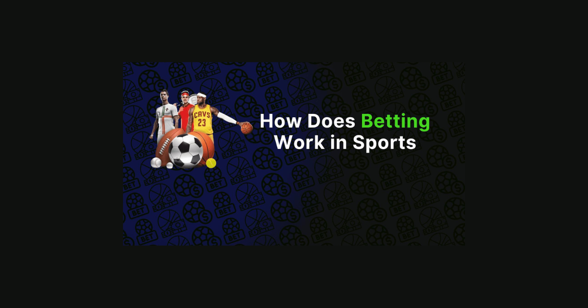 How Betting Works In Sports?