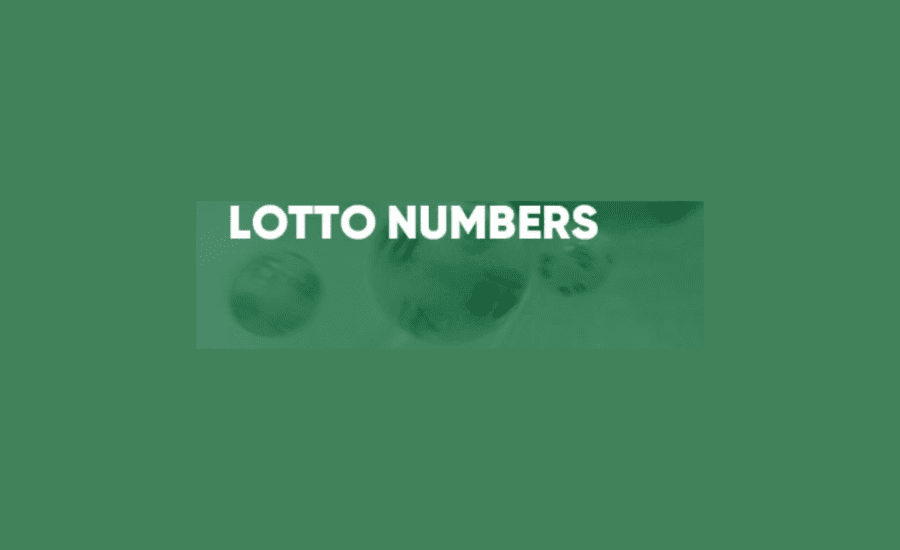 How To Bet Lotto Numbers?