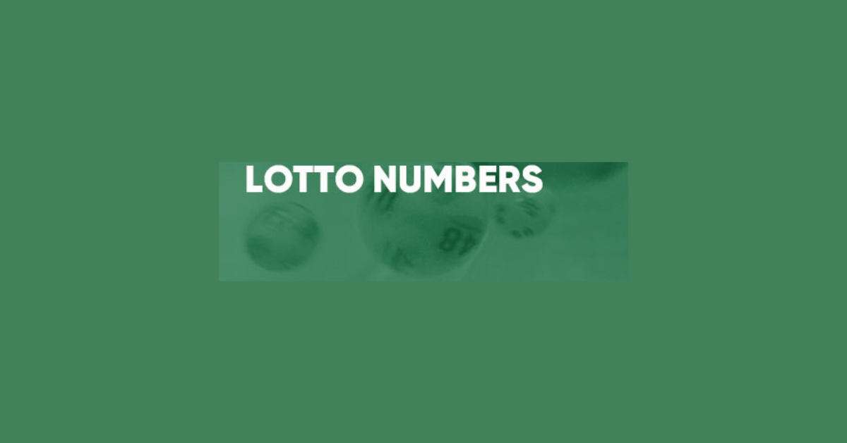 How To Bet Lotto Numbers?