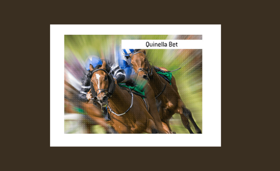 How To Bet A Quinella?