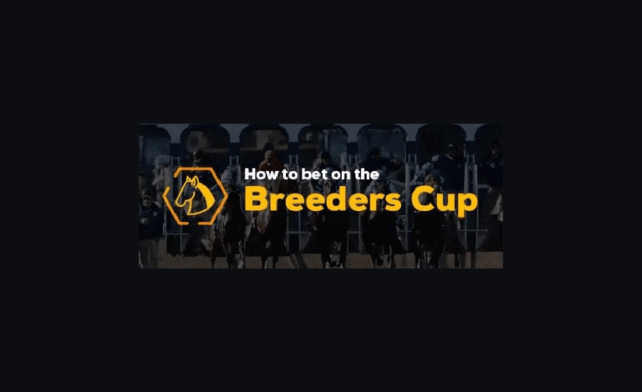 How To Bet The Breeders Cup?