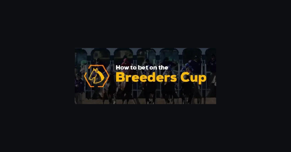 How To Bet The Breeders Cup?