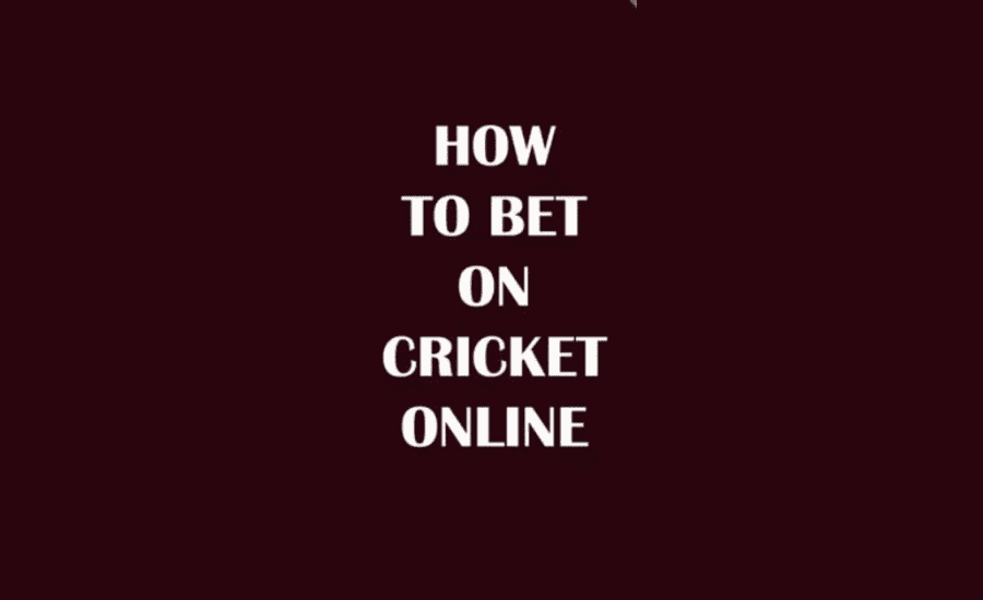 How To Bet Online In Cricket?