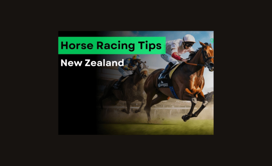 How To Bet On Horses Nz?