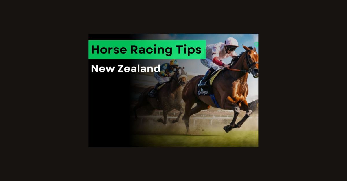 How To Bet On Horses Nz?