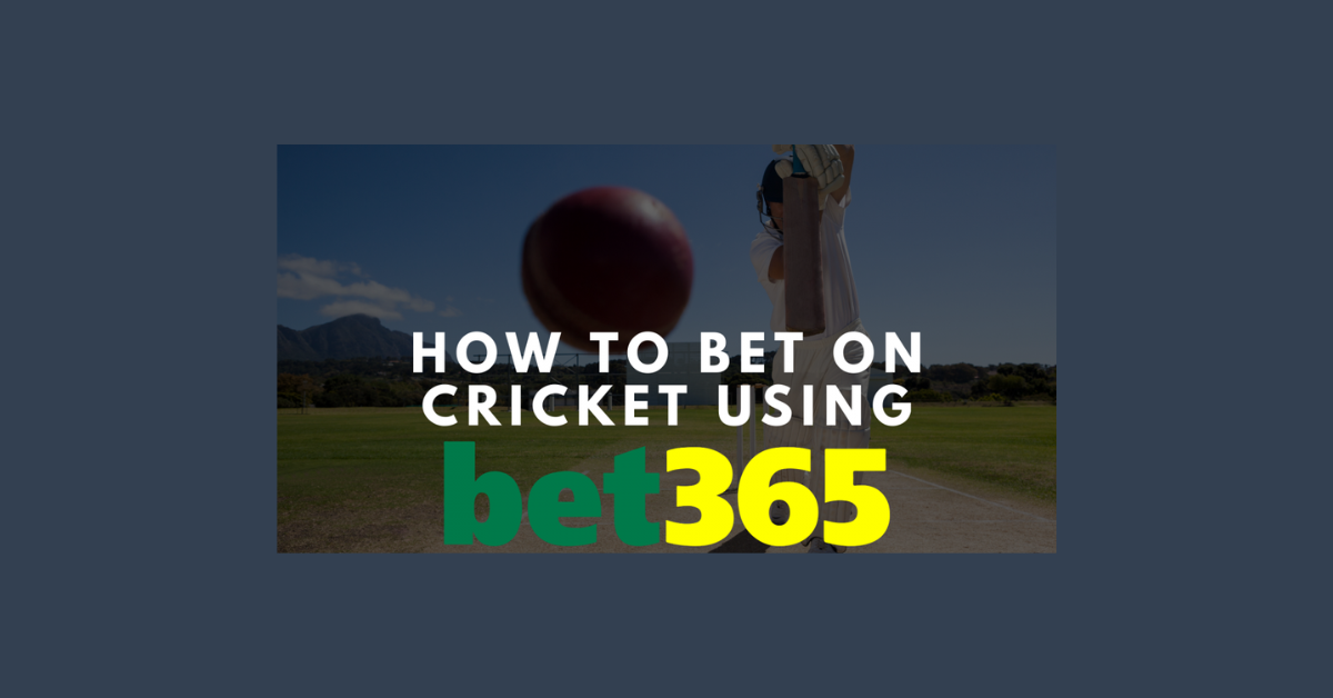 How To Bet On Cricket In Bet365?