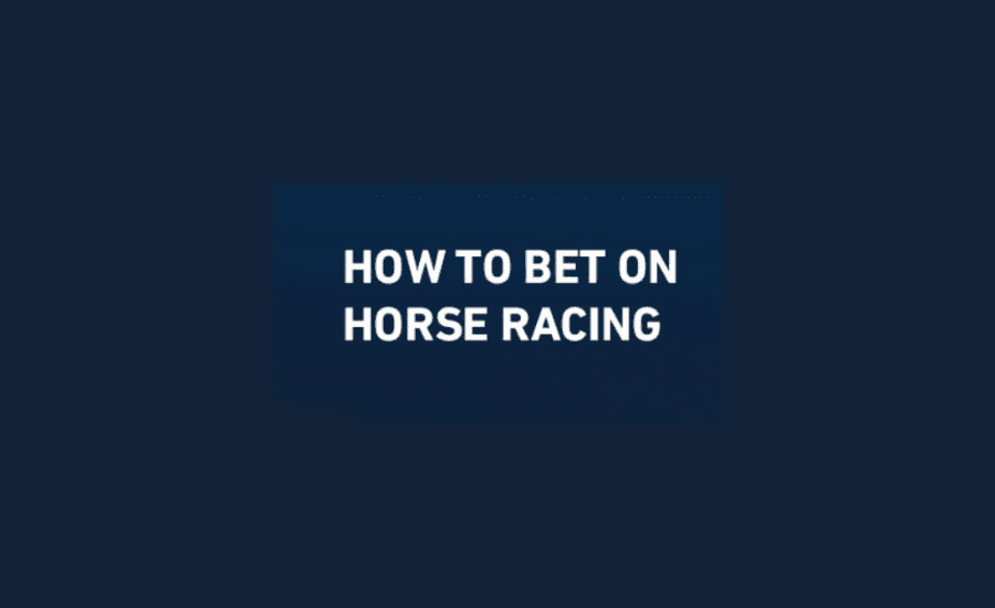 How To Bet At The Races?