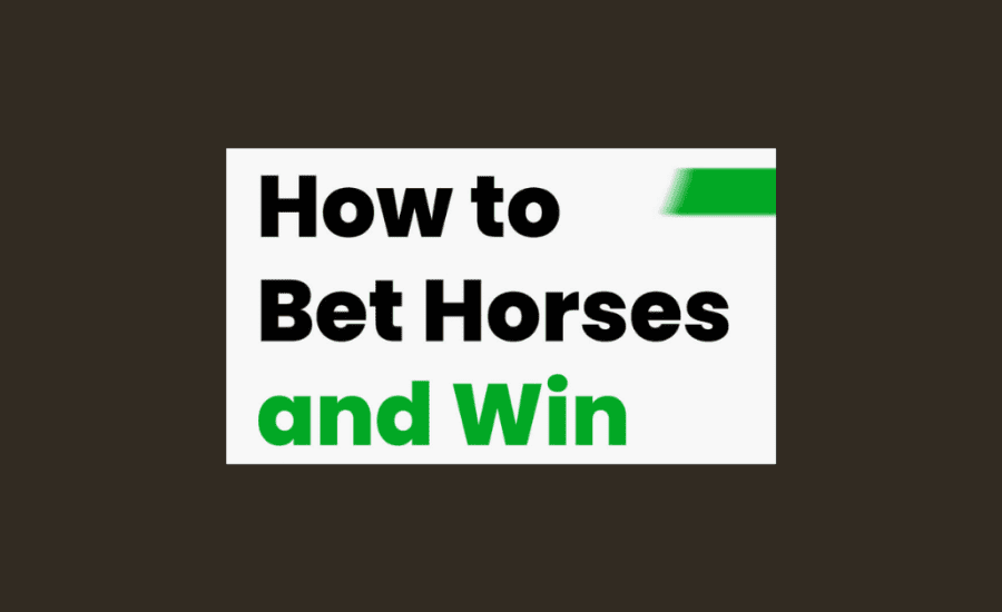 How To Bet On Horses And Win?