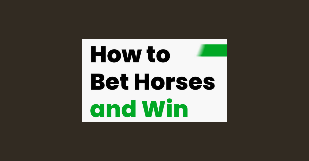 How To Bet On Horses And Win?