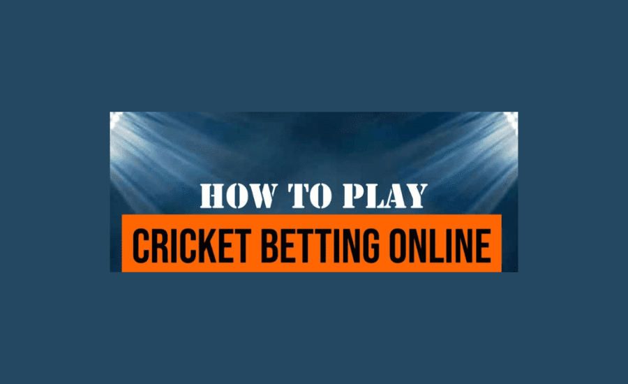 How To Play Online Cricket Betting?