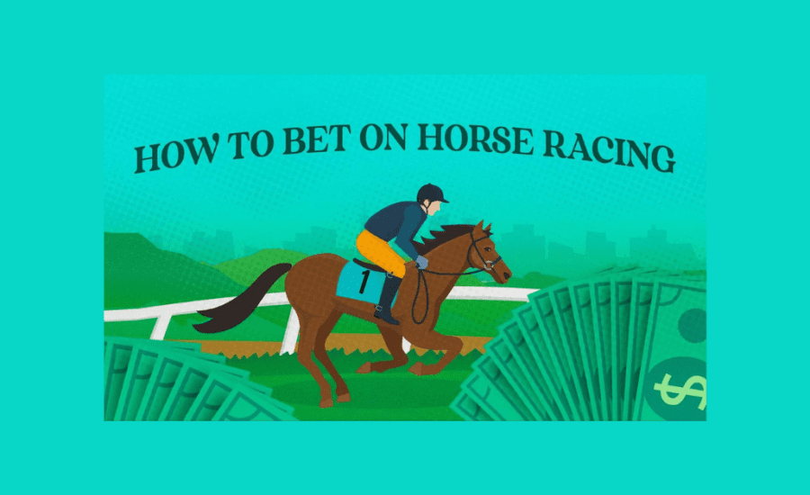 How To Place A Bet On Horse Racing?