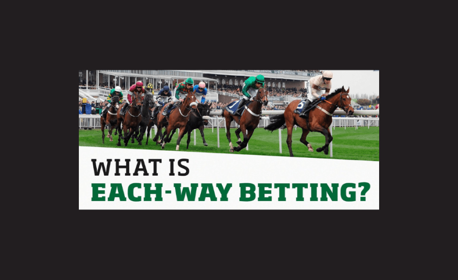 What Is Each Way Bet Horse?