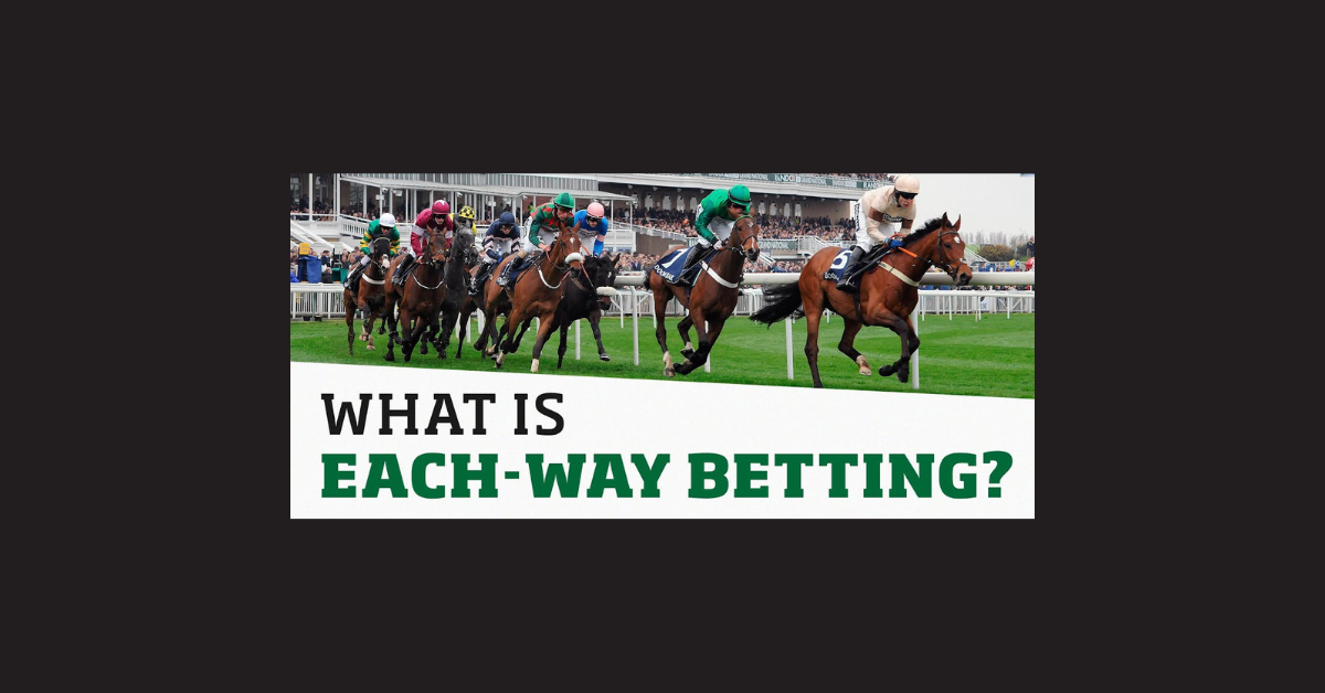 What Is Each Way Bet Horse?