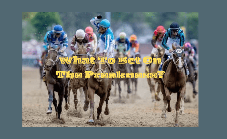 What To Bet On The Preakness?