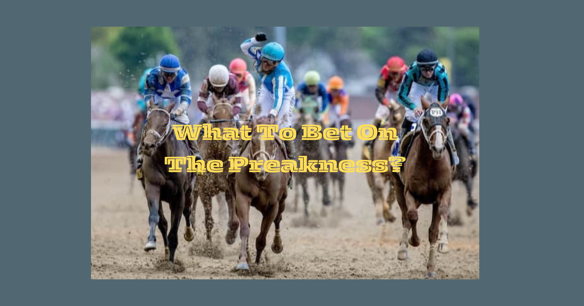 What To Bet On The Preakness?