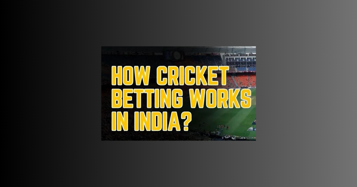 How Cricket Betting Works In India?