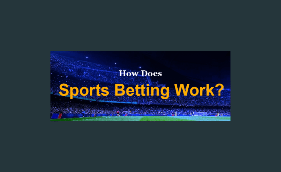 How Does Sports Betting Work?