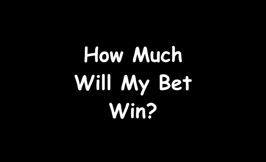 How Much Will My Bet Win?