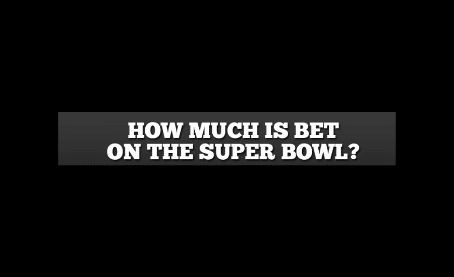 How Much Money Is Bet On The Super Bowl?