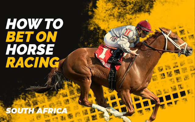 How To Bet Horses In South Africa?