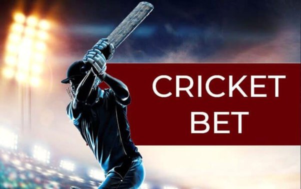 How To Win In Cricket Betting?