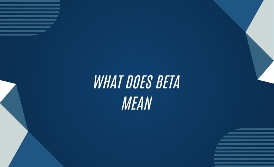 What Does Beta Mean