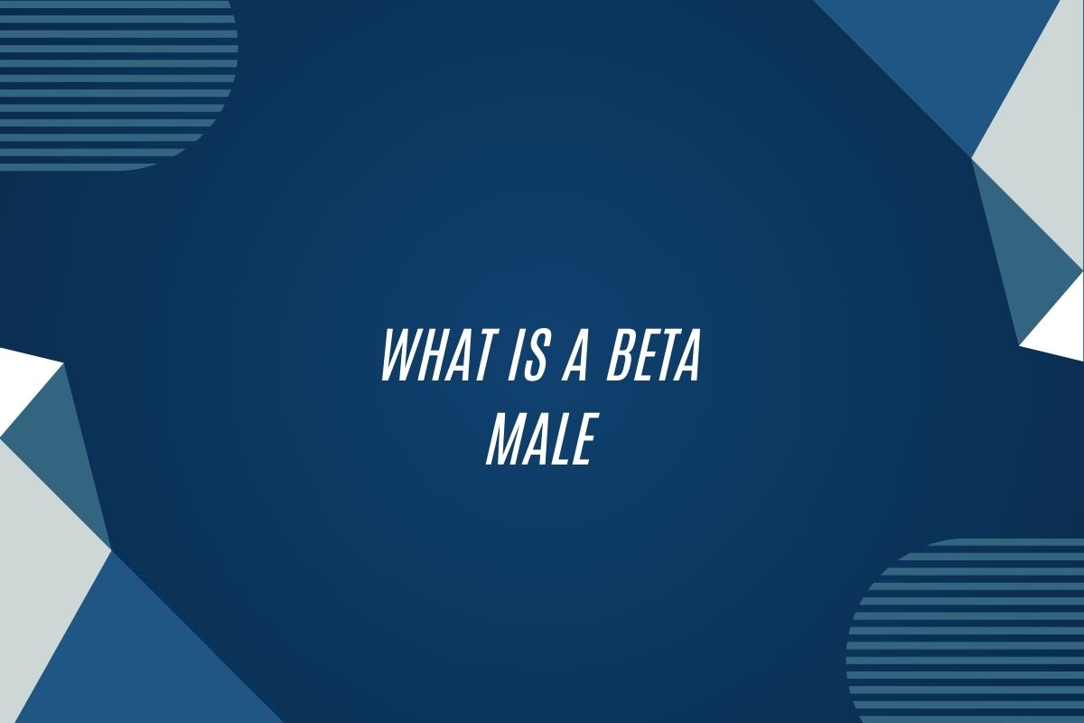 What Is A Beta Male