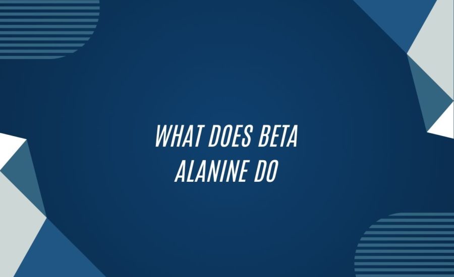 What Does Beta Alanine Do