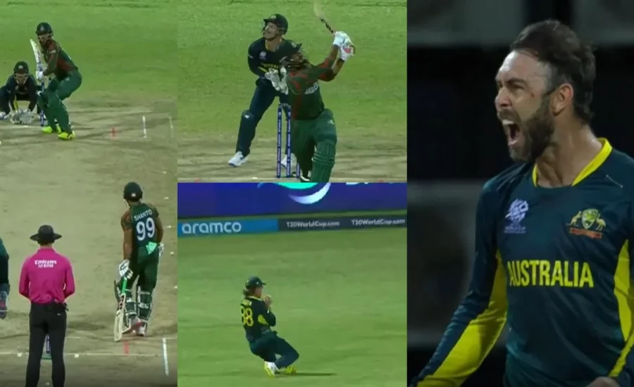 T20 World Cup 2024 : Glenn Maxwell celebrates passionately after dismissing Rishad Hossain in AUS vs BAN game