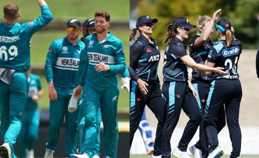 NZC reveals home season details for 2024-25; England, Australia and Pakistan to tour New Zealand